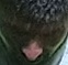 face